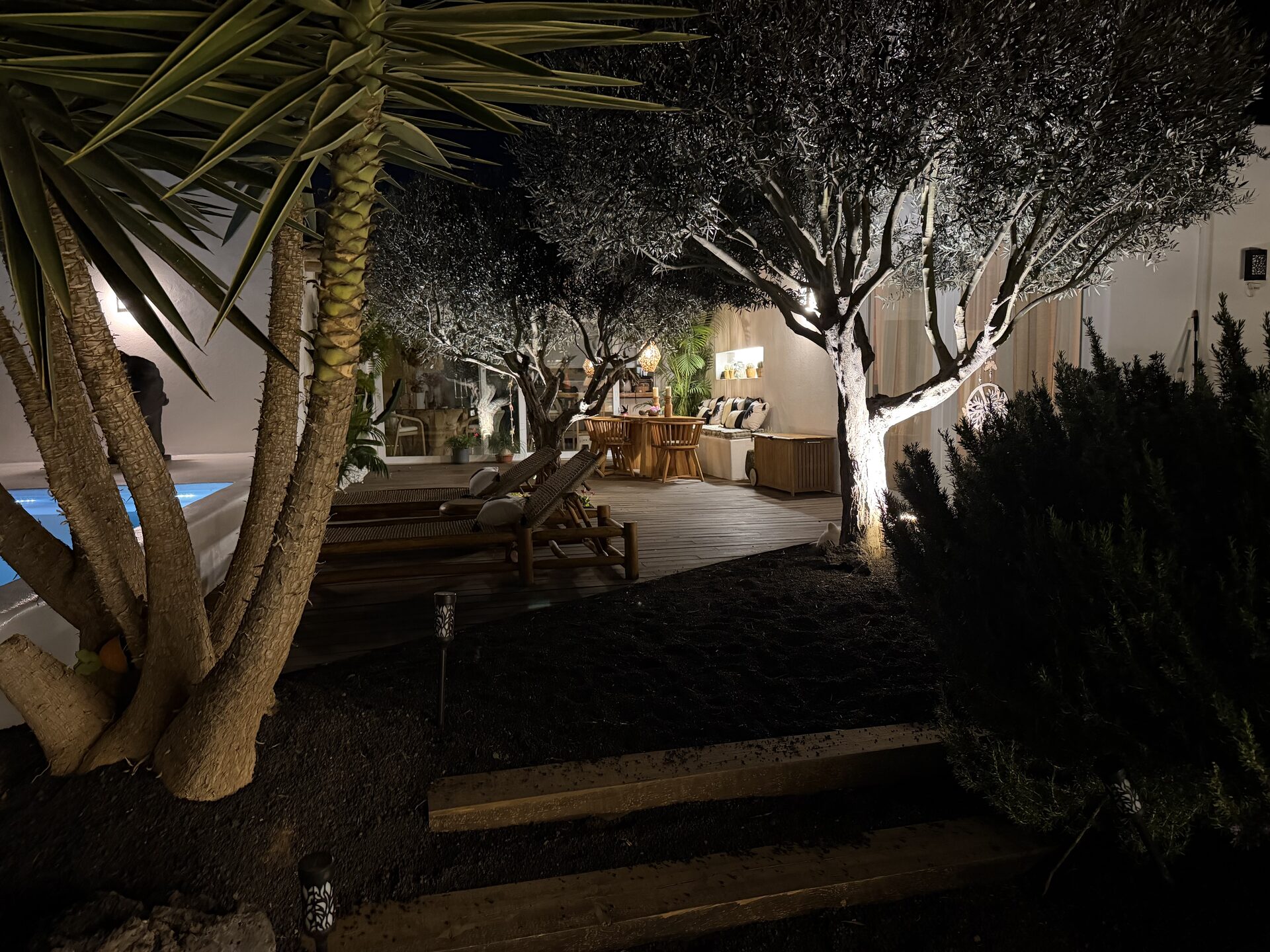 Jardín nocturno con yucas y olivos